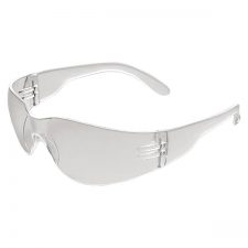 ERB IPROTECT Safety Glasses With Anti-Fog Lens